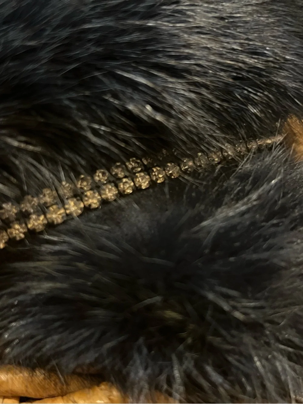 UNBRANDED Navy Blue Fur And Rhinestone Headband